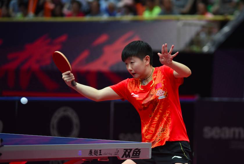 他们凭借 他们凭借