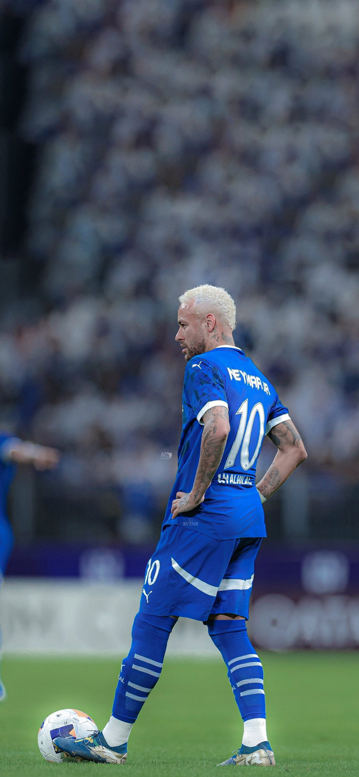 不仅仅是李 不仅仅是李